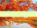 浅表疤痕激光有效果吗，浅表疤痕能完全消失吗