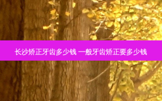 长沙矫正牙齿多少钱 一般牙齿矫正要多少钱