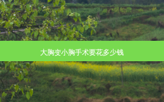 大胸变小胸手术要花多少钱