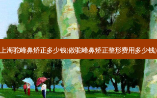 上海驼峰鼻矫正多少钱(做驼峰鼻矫正整形费用多少钱)