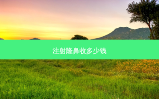 注射隆鼻收多少钱