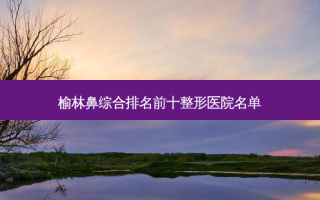 榆林鼻综合排名前十整形医院名单