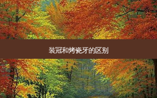 装冠和烤瓷牙的区别