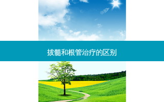 拔髓和根管的区别