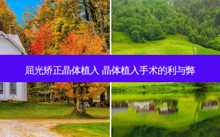 屈光矫正晶体植入 晶体植入手术的利与弊