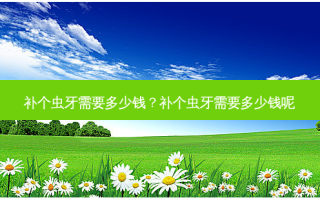 补个虫牙需要多少钱？补个虫牙需要多少钱呢