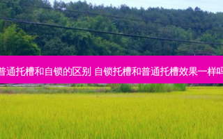 普通托槽和自锁的区别 自锁托槽和普通托槽效果一样吗