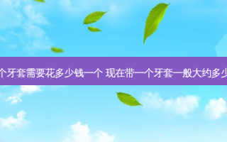 带个牙套需要花多少钱一个 现在带一个牙套一般大约多少钱