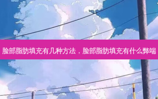 脸部脂肪填充有几种 *** ，脸部脂肪填充有什么弊端