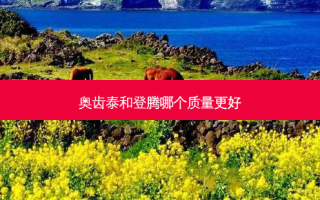 奥齿泰和登腾哪个质量更好