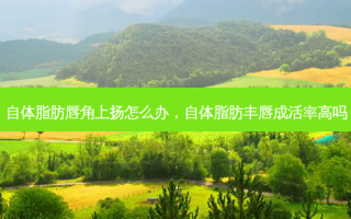 自体脂肪唇角上扬怎么办，自体脂肪丰唇成活率高吗