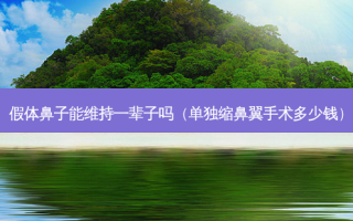 假体鼻子能维持一辈子吗（单独缩鼻翼手术多少钱）