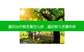 盛田椅质量怎么样，盛田熨斗质量咋样