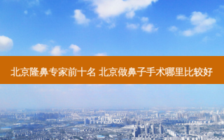 北京隆鼻专家前十名 北京做鼻子手术哪里比较好
