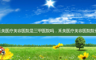 禾美医疗美容医院是三甲医院吗，禾美医疗美容医院院长