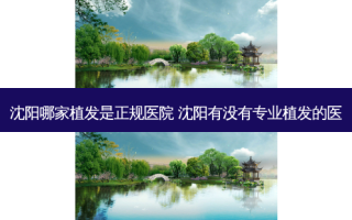 沈阳哪家植发是正规医院 沈阳有没有专业植发的医