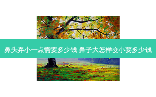 鼻头弄小一点需要多少钱 鼻子大怎样变小要多少钱