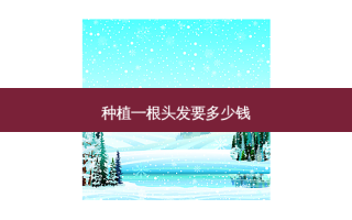 种植一根头发要多少钱