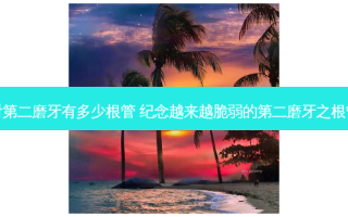 怎么看第二磨牙有多少根管 纪念越来越脆弱的第二磨牙之根管