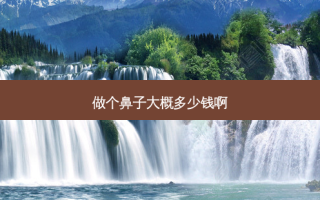 做个鼻子大概多少钱啊