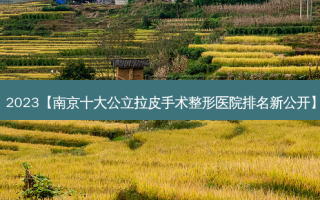2023【南京十大公立拉皮手术整形医院排名新公开】