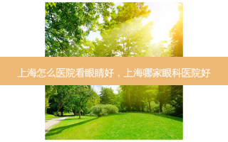上海怎么医院看眼睛好，上海哪家眼科医院好