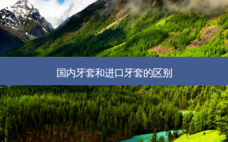 国内牙套和进口牙套的区别
