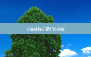 全瓷桩好还是纤维桩好