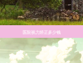 医院视力矫正多少钱