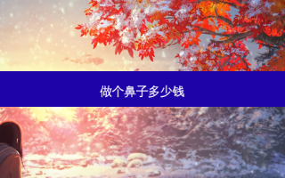 做个鼻子多少钱