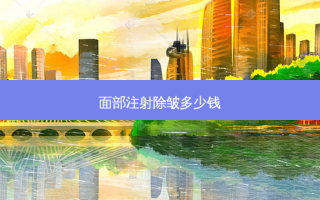 面部注射除皱多少钱