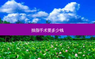 抽脂手术要多少钱