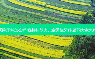 杭州儿童医院牙科怎么样 我想挂胡忠儿童医院牙科,请问大家怎样可以挂号