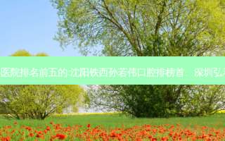 国内牙科外科牙科医院排名前五的:沈阳铁西孙若伟口腔排榜首、深圳弘和口腔门诊部第二!