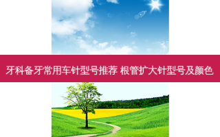 牙科备牙常用车针型号推荐 根管扩大针型号及颜色