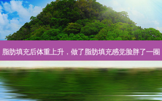 脂肪填充后体重上升，做了脂肪填充感觉脸胖了一圈
