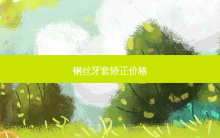 钢丝牙套矫正价格