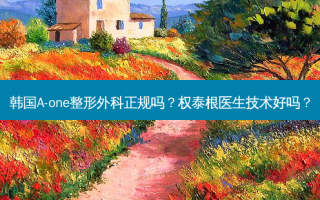韩国A-one整形外科正规吗？权泰根医生技术好吗？