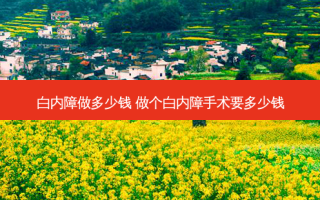 白内障做多少钱 做个白内障手术要多少钱