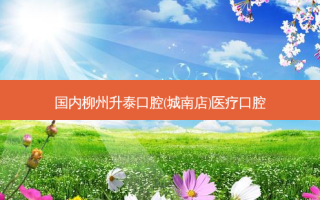 国内柳州升泰口腔(城南店)医疗口腔