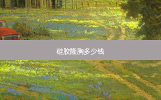 硅胶隆胸多少钱