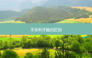 牙床和牙龈的区别