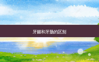 牙龈和牙肠的区别