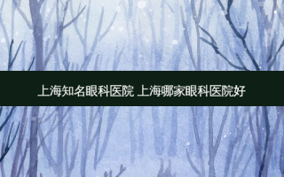 上海知名眼科医院 上海哪家眼科医院好