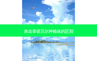 奥齿泰诺贝尔种植体的区别