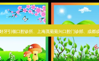 国内医美排名前十位|苏州工业园区好牙引领口腔诊所、上海茂菊菊兴口腔门诊部、成都成华奥展口腔门诊部等10大名院登榜