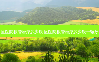 区医院根管多少钱 区医院根管多少钱一颗牙