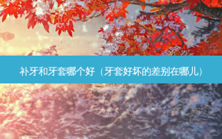 补牙和牙套哪个好（牙套好坏的差别在哪儿）