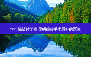 学打除皱针学费 昆明眼袋手术好的医生