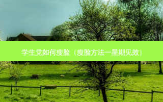 学生党如何瘦脸（瘦脸 *** 一星期见效）